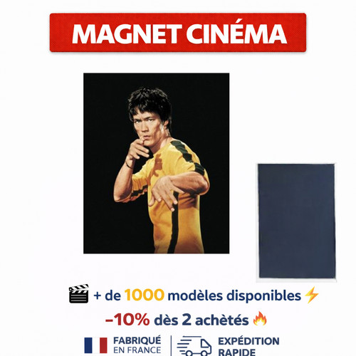 Magnet film karaté culte - magnet,