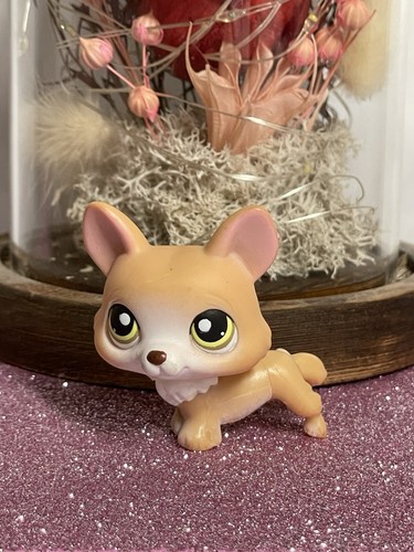 Petshop chien corgi - chien,