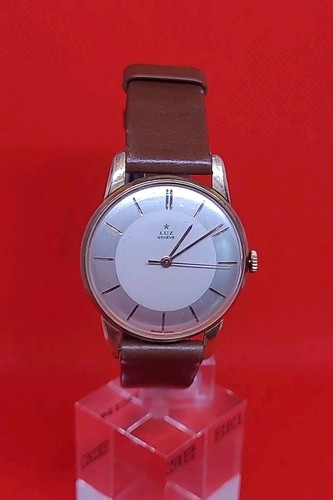 Montre homme luz genève or - genÈve, pl