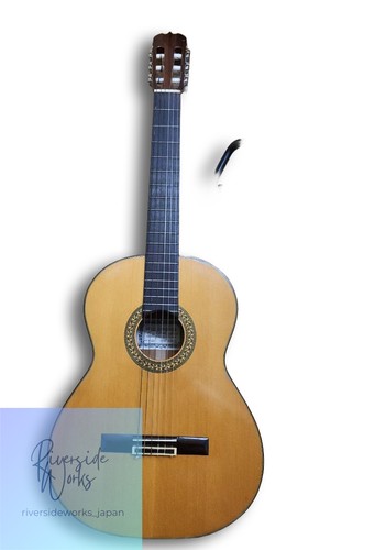 étui rigide pour guitare - pour,
