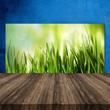 Crédence de cuisine en verre