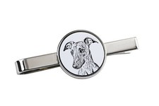 Whippet Attache-Cravate Chien