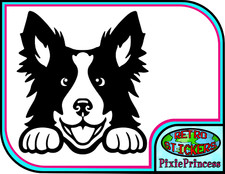 Coup D'Oeil Border Collie