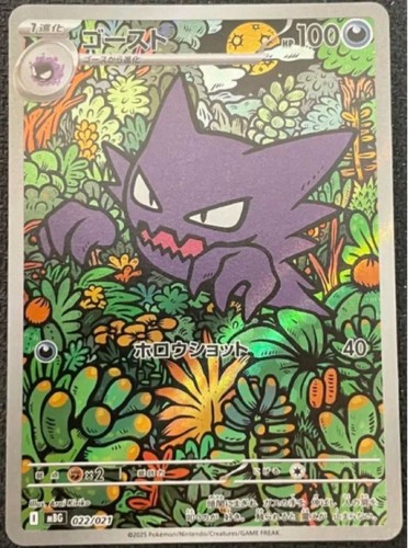 Carte pokemon haunter - carte,