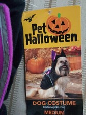 Pet Dog Bat Halloween Costume