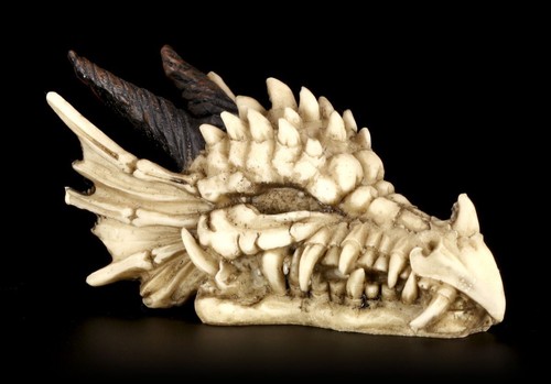 Tête mort dragon - tête, de