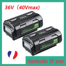 2x 8,0 Ah batterie lithium-ion