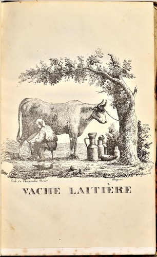 François guénon traite des - françois, :
