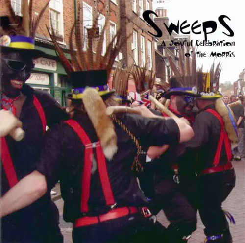 Folk sweeps joyful - cd,