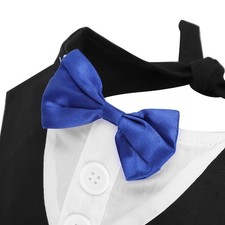 Costume Pour Chien Avec Nœud