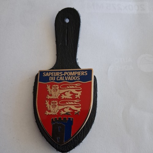 Insigne sapeurs pompiers - sapeurs,