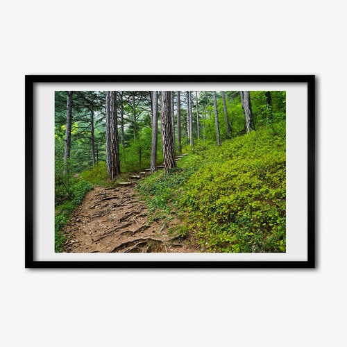 Tulup photo cadre - tulup, 60x40cm