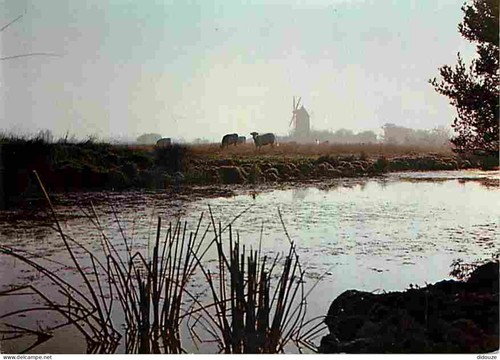 Carte postale vendée - -,