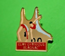 Pin's lapel pins pin