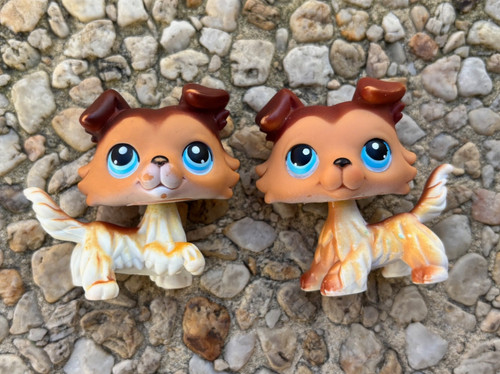 Lps littlest pet shop - shop, colley