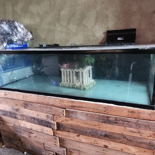 Aquarium 187 gal - aquarium, with
