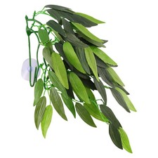  Accessoires Pour Reptiles