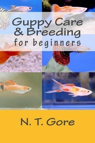 Gore guppy care breeding - t, &