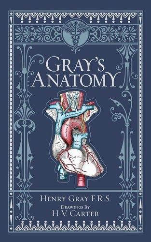 Henry gray - henry, gray's