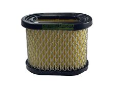 Filtre à air pour moteur MTD