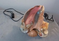 Lampe Coquillage  , Gros