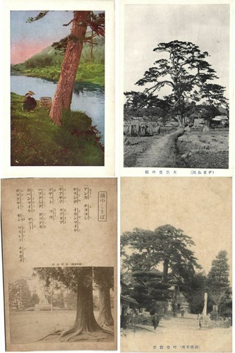 Japan asia trees 150 vintage - asia,