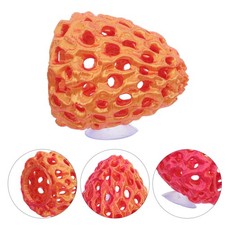 Abri pour crevettes d'aquarium
