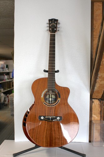 Meridaextrema venus cutaway - meridaextrema,
