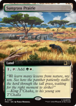 Magic mtg prairie - magic, de