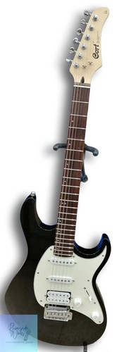 Guitare électrique débutant