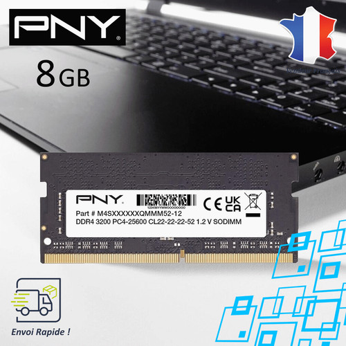 Barrette mémoire pny 8go - barrette,