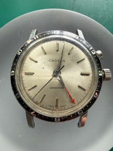 Vintage 1960s croton wanderer - 1960s,