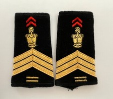 Paire de Fourreaux d’Epaules. Génie. Serg-Chef (L234)