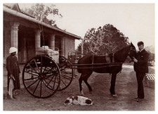Inde, Voiture à cheval