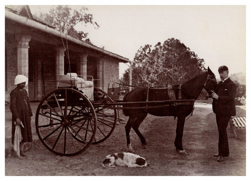 Inde voiture cheval - inde,, à