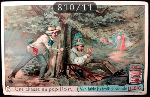 810 lot 1 - n°810/11, chromos