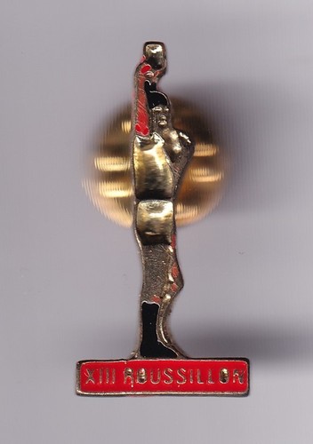 Rare pins pin sport rugby - pin's,