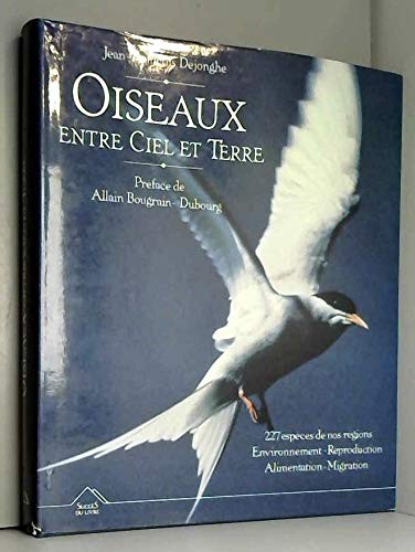 Oiseaux entre ciel terre - oiseaux, et