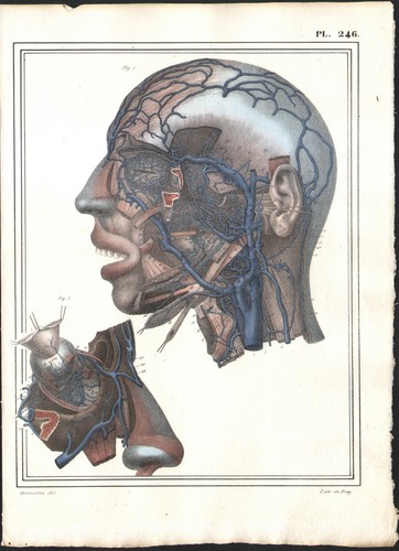 1825 gravure originale - gravure,