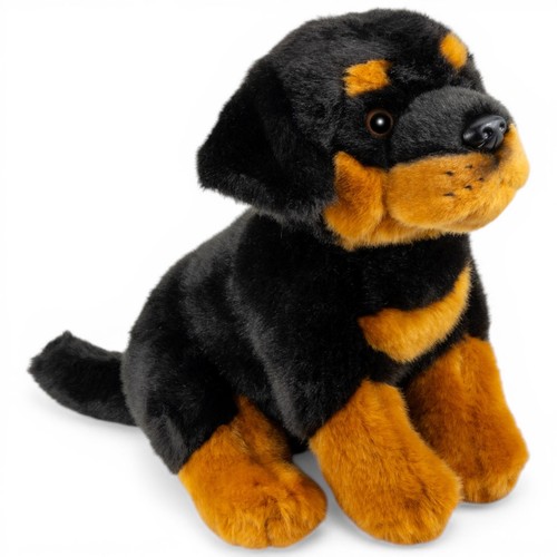 Carl dick rottweiler - carl,