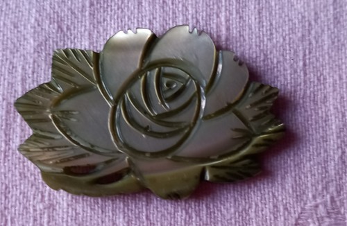 Joli plaque application - joli,