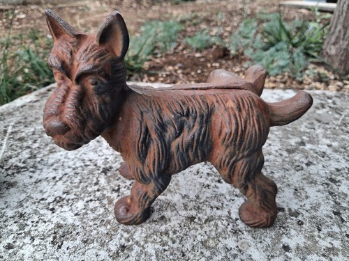 Ancien chien scottish - ancien,