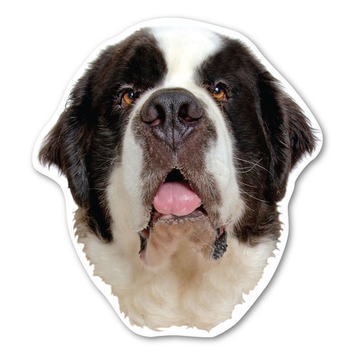 Saint bernard magnet - bernard,