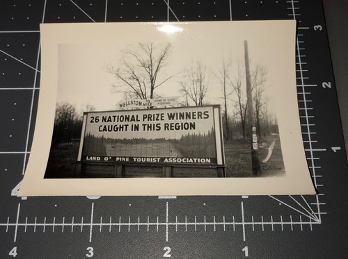 40s land pine - land, tourist