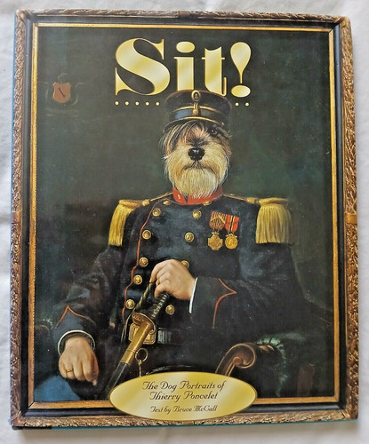 Sit the dog - :,