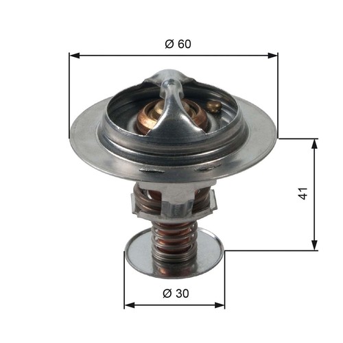 Thermostat liquide de - thermostat,,