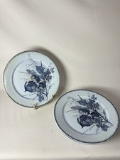 Lot de 5 Assiettes SARREGUEMINES  Faïence Ancien