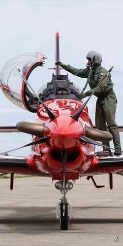 Plaque metal avion - , pilote