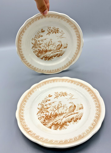Paire assiettes anciennes - paire,