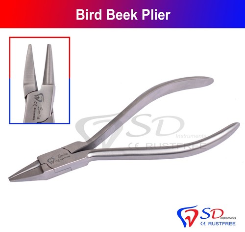 Orthodontie oiseau bec angle - oiseau,